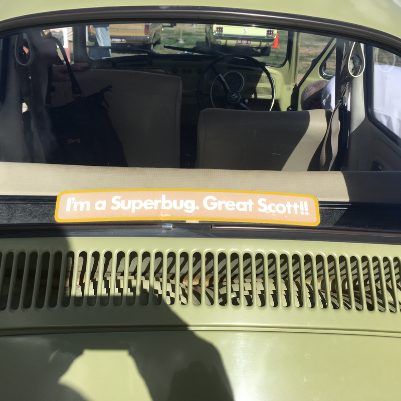 VW Beetle back window sticker